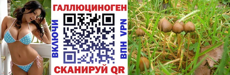 Псилоцибиновые грибы мухоморы  Плёс 