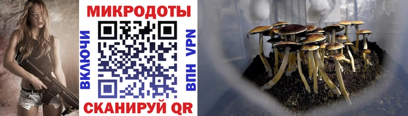 Галлюциногенные грибы GOLDEN TEACHER Плёс